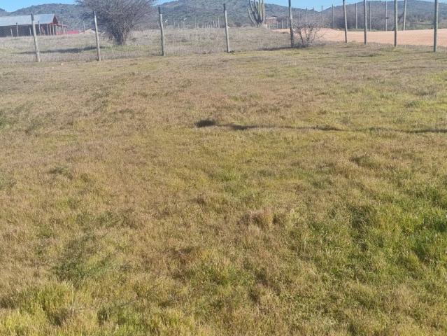 FUNDO EL MOLINO