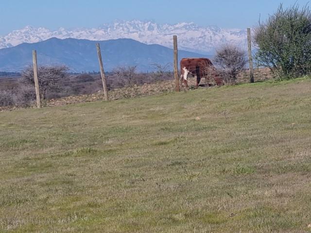 FUNDO EL MOLINO