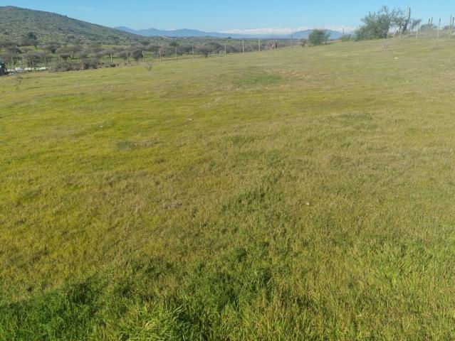 FUNDO EL MOLINO