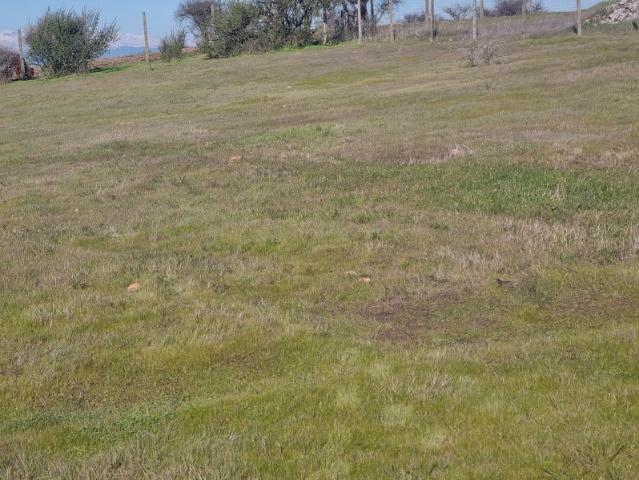 FUNDO EL MOLINO