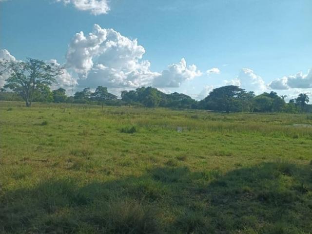 Finca en venta en Barinas
