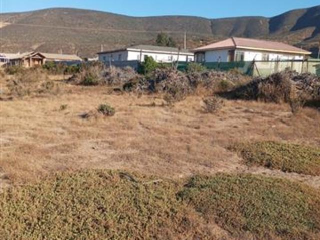 Fundo Santa Ines, los vilos