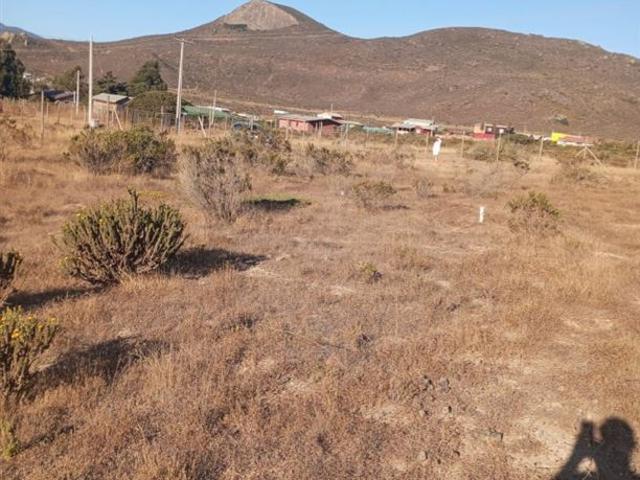 Fundo Santa Ines, los vilos