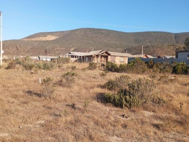Fundo Santa Ines, los vilos