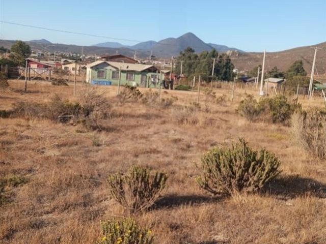 Fundo Santa Ines, los vilos
