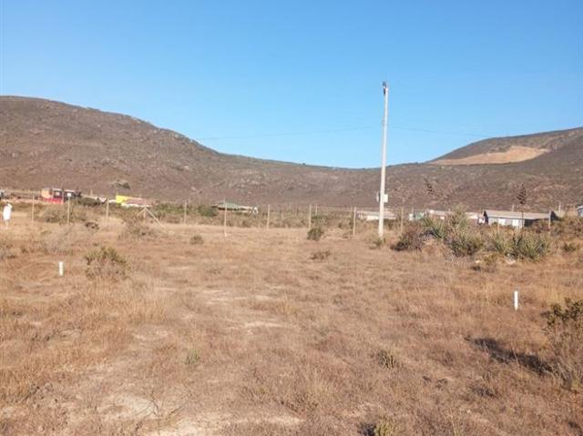 Fundo Santa Ines, los vilos