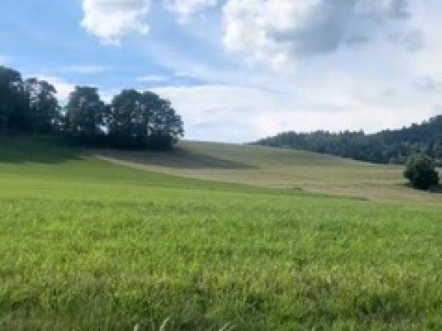 Immobilie kaufen in St. Georgen am Längsee, Kärnten