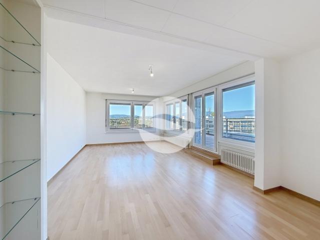 Wohnung mieten in Onex