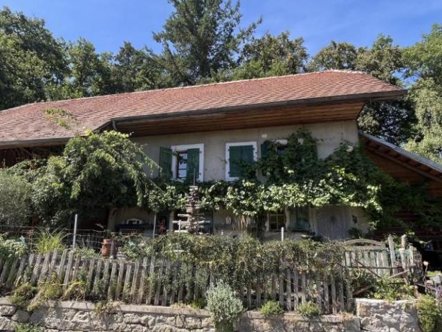 Haus mieten in Yvonand, Waadt