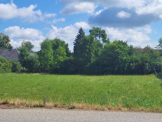 Immobilie kaufen in Aschach an der Steyr, Oberösterreich