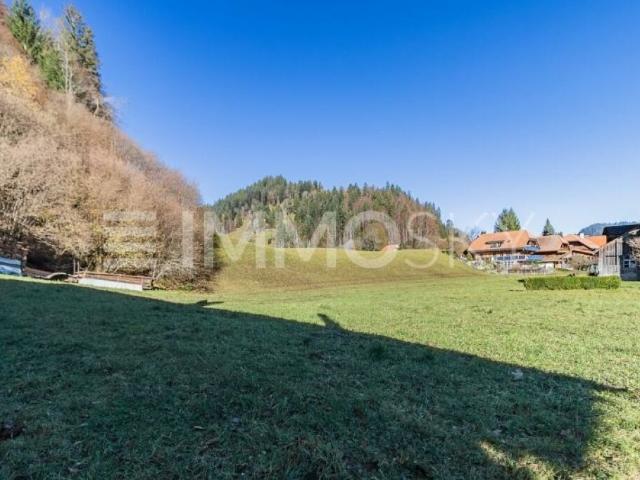 Wohnung kaufen in Trub, Bern