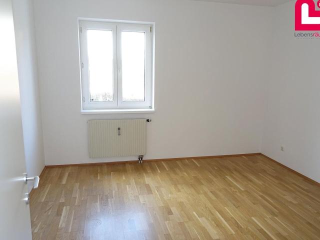 Wohnung mieten in Alberndorf in der Riedmark, Oberösterreich