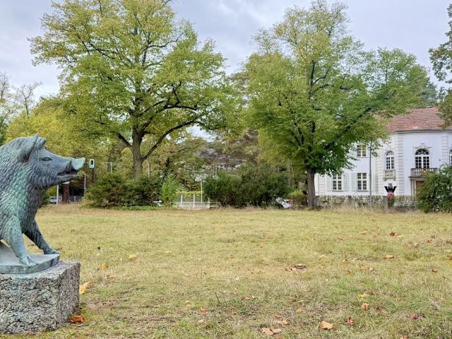 Landwirtschaft kaufen in Steglitz-Zehlendorf, Berlin