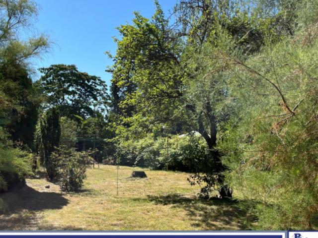 Erdgeschosswohnung kaufen in Berlin