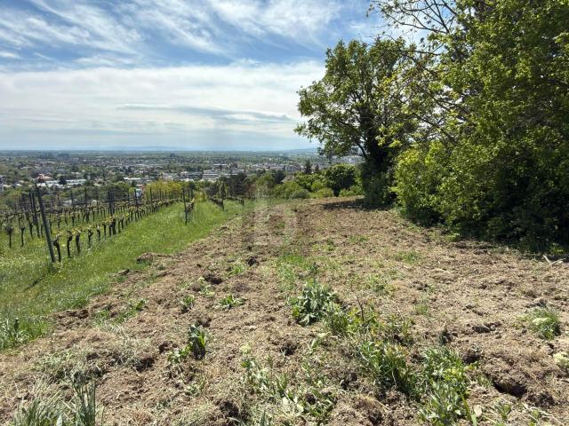 Landwirtschaft kaufen in Katastralgemeinde Siegenfeld, Heiligenkreuz