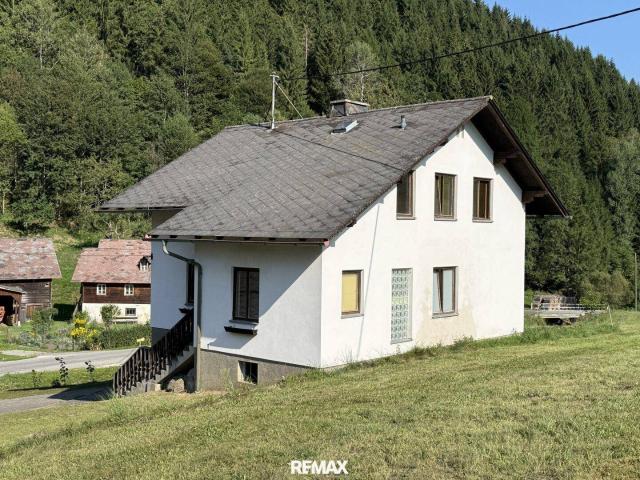Haus kaufen in Hollersbach, Stanz im Mürztal