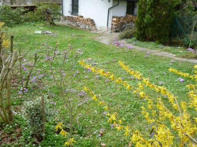 Haus kaufen in Übersee, Bayern