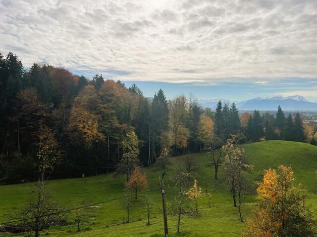 Apartment mieten in Bildstein, Vorarlberg