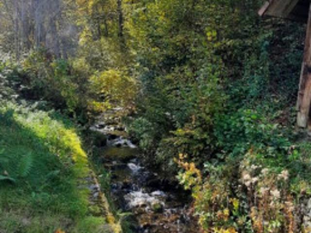 Bauernhaus kaufen in Hohenthurn, Kärnten