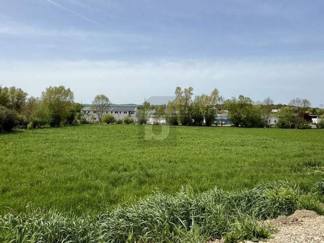 Grundstück kaufen in Walbersdorf, Mattersburg