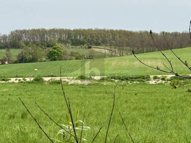 Grundstück kaufen in Walbersdorf, Mattersburg