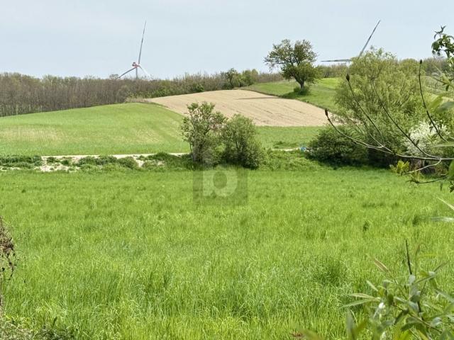 Grundstück kaufen in Sigleß, Burgenland
