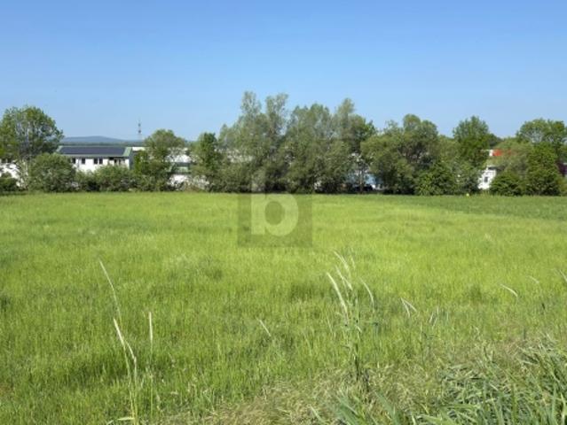 Grundstück kaufen in Krensdorf, Burgenland
