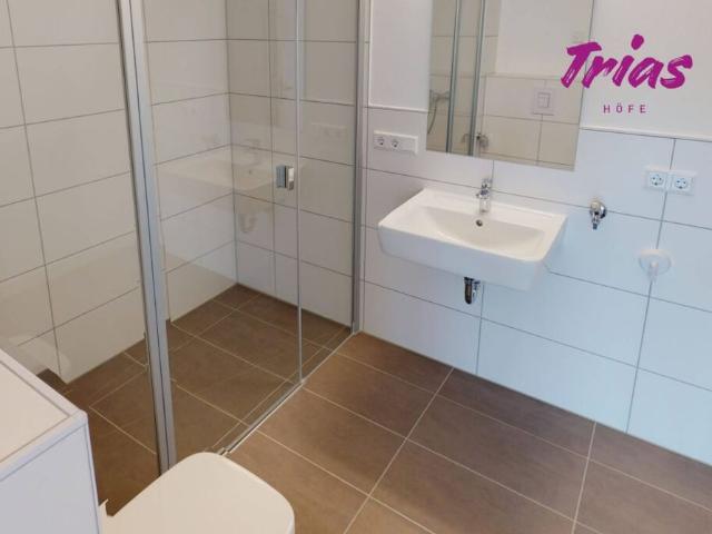 Apartment mieten in Mainz, Rheinland-Pfalz