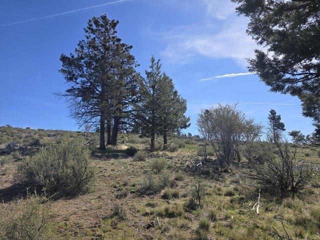 Land for sale in Oregonia