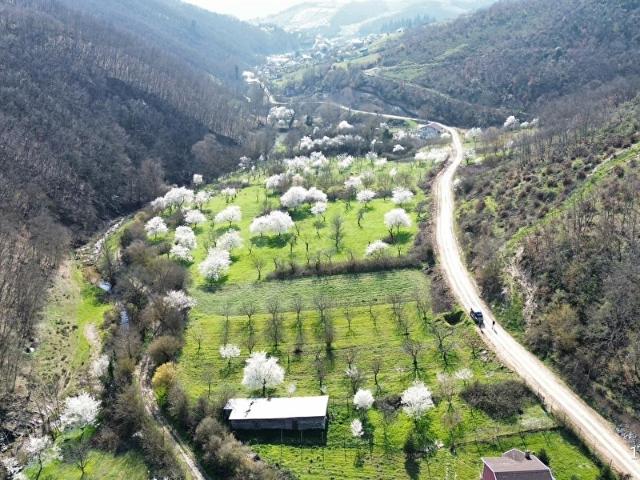 İznik, Bursa içerisinde satılık mülk
