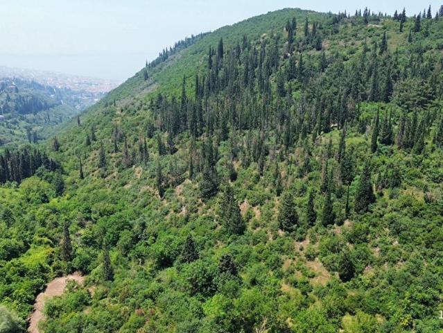 Karamürsel, Kocaeli içerisinde satılık Arsa