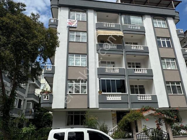 Atakum, Samsun içerisinde satılık mülk
