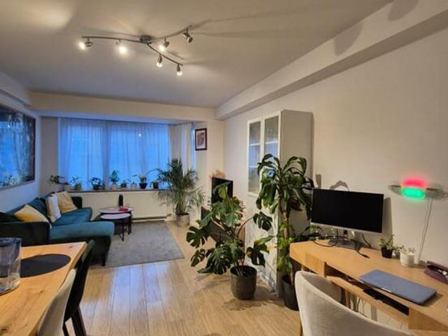 Kot location à Sint-lambrechts-woluwe, Bruxelles