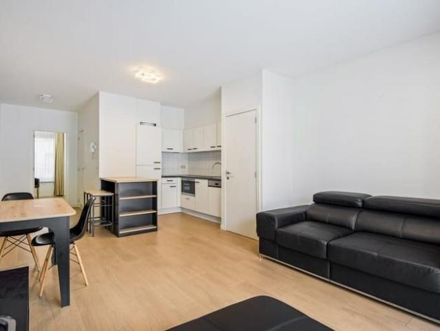 Kot location à Brussel, Bruxelles