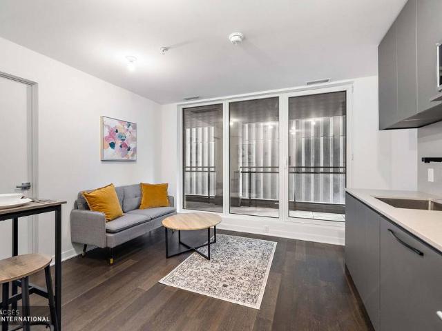 Apartment for rent in Ville-Marie, Montréal