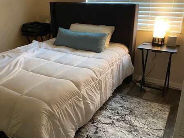 Room for rent in Saint Johns, Florida