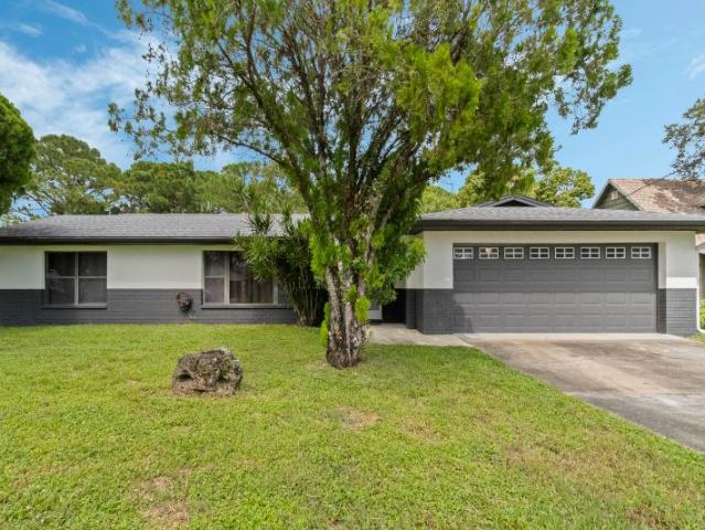 Room for rent in Florida