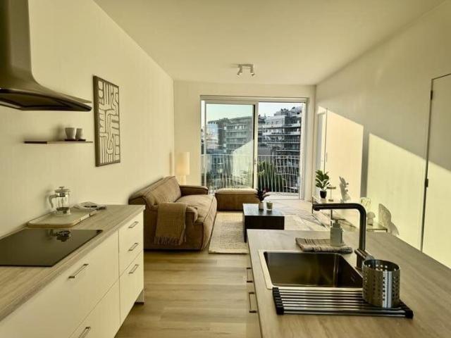 Kot location à Antwerpen