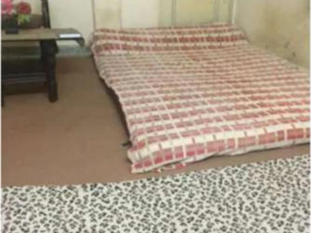 House for rent in Islamabad