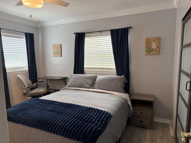 Room for rent in New Port Richey, Florida