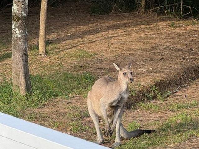 House for rent in Bawley Point, New South Wales