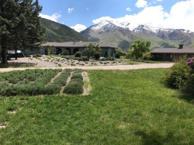 Room for rent in Utah