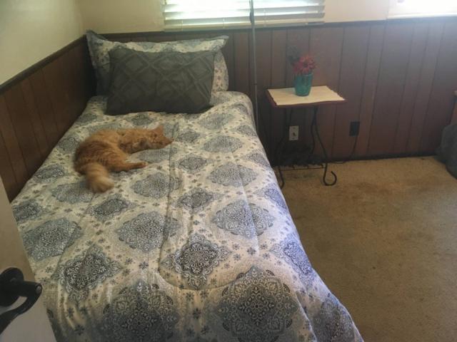 Room for rent in Shasta, California