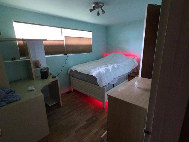 Room for rent in Bellevue, Washington