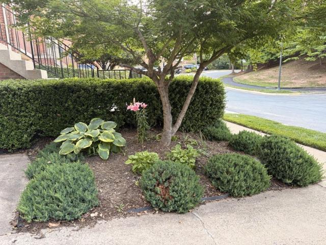 Room for rent in Virginia