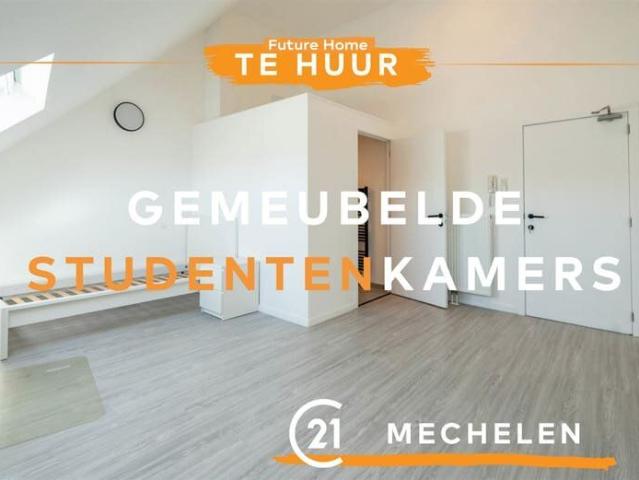 Kamer location à Mechelen, Antwerpen