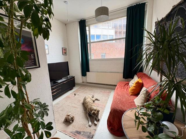 Studio for rent in Shacklewell, Greater London