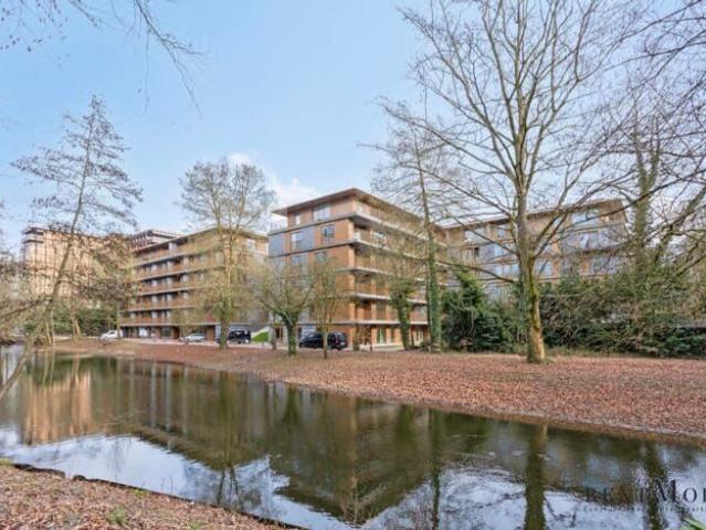 Kot location à Watermaal-bosvoorde, Bruxelles