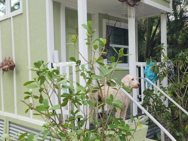 Room for rent in West Palm Beach, Florida