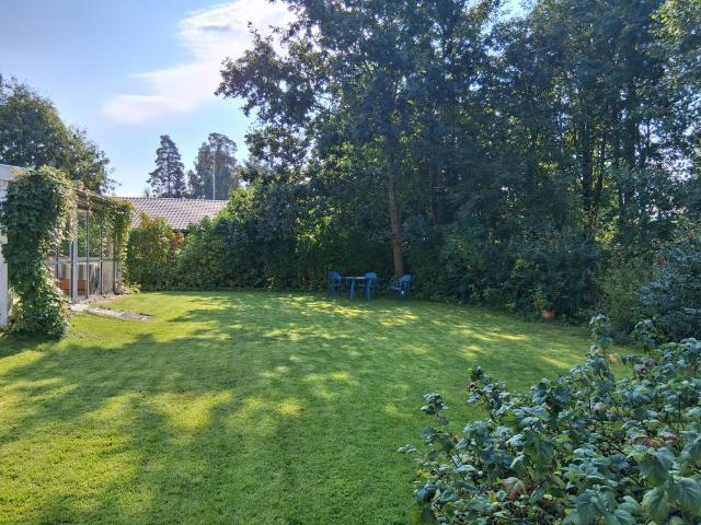 Hus hyra i Falun, Dalarna